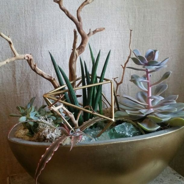 Geometric succulent garden in a gold bowl planter with mixed succulents and a brass cube accent